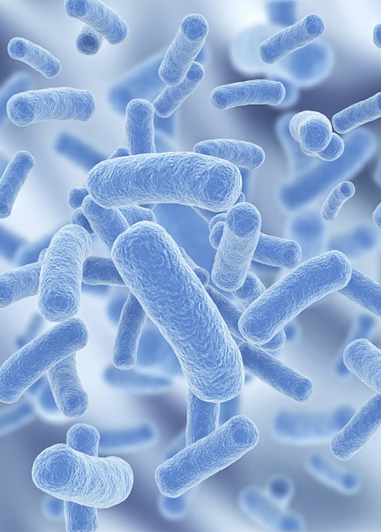 真菌毒素檢測產品